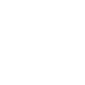 logo white transparent